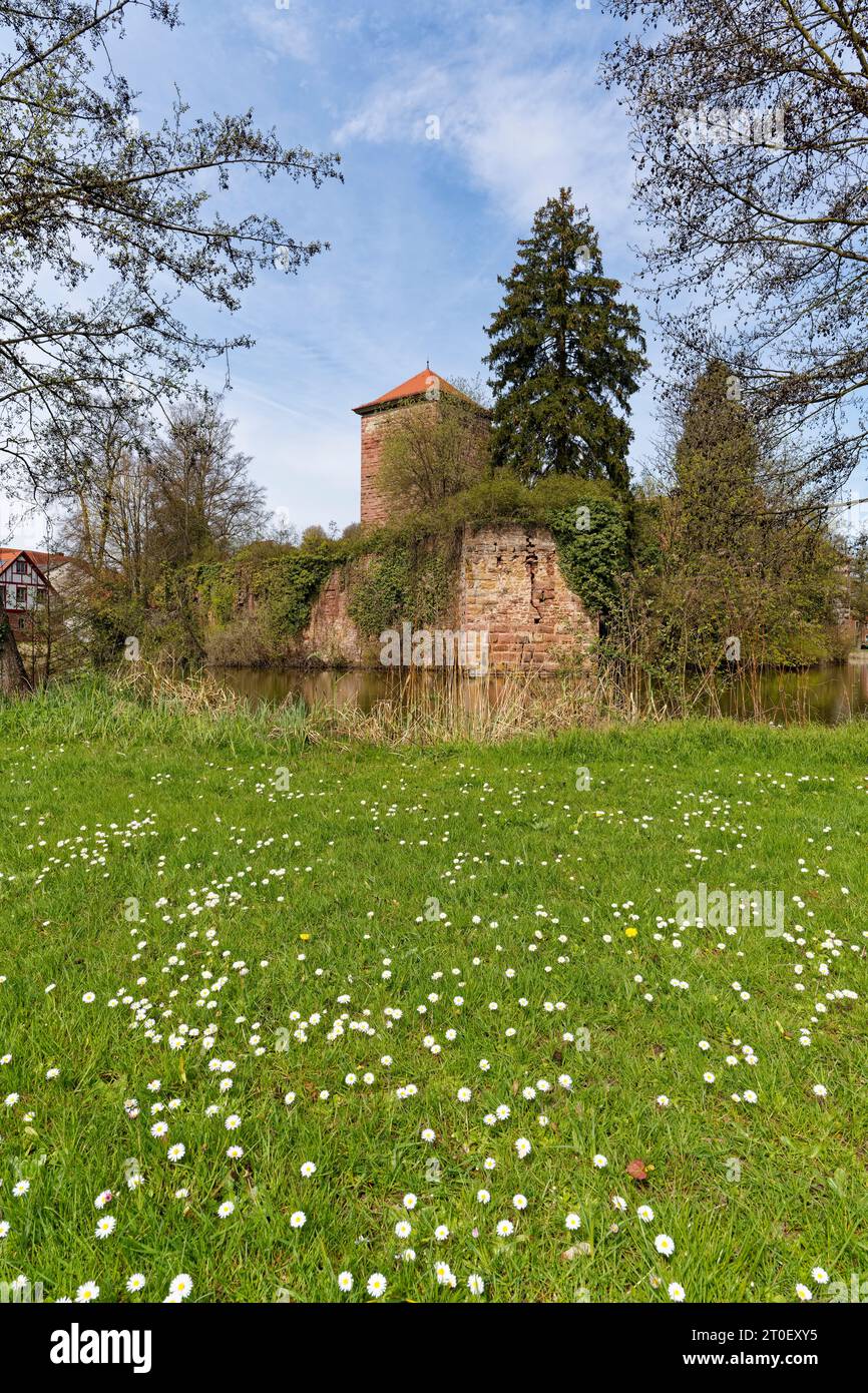 Water castle or old castle in the market town of Burgsinn in Sinntal, Main-Spessart County, Lower Franconia, Franconia, Bavaria, Germany Stock Photo