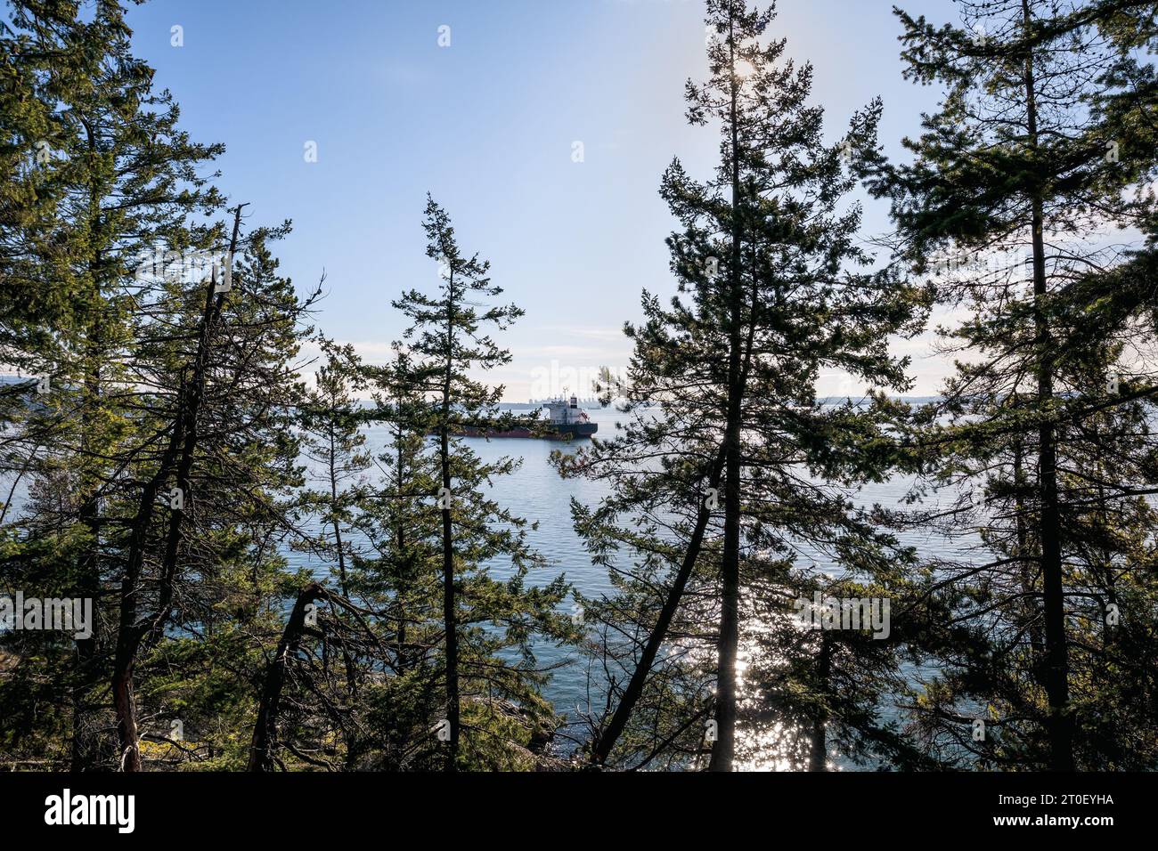 Cargo ship anchored behind trees with far off city skyline. Scenic maritime transport background. Environmental impact of cargo shipping concept. Sele Stock Photo