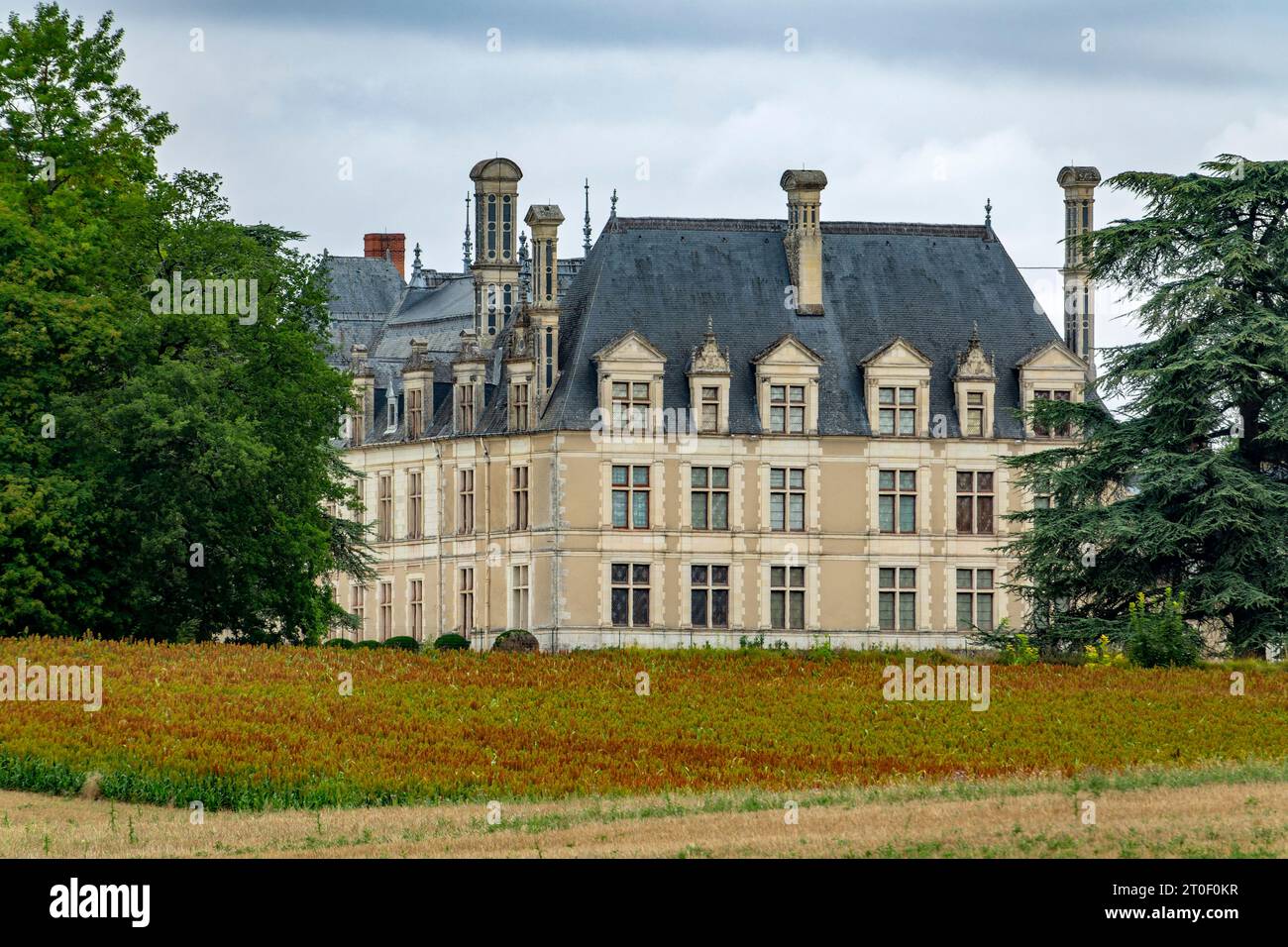 Beauregard Castle stands in the Beuvron Valley on the territory of the French commune of Cellettes about six kilometers southeast of Blois.  The castle houses the Galerie des Illustres. It displays 327 portraits of important personalities from the history of France. Stock Photo