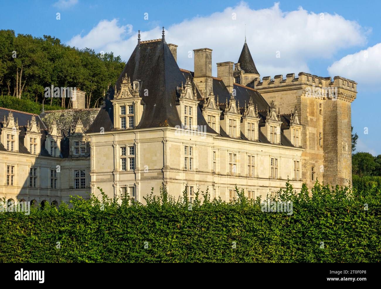 Villandry Castle is located about 17 km west of the city of Tours. The eponymous village of Villandry is located on the Cher and is the last commune before its confluence with the Loire. Stock Photo