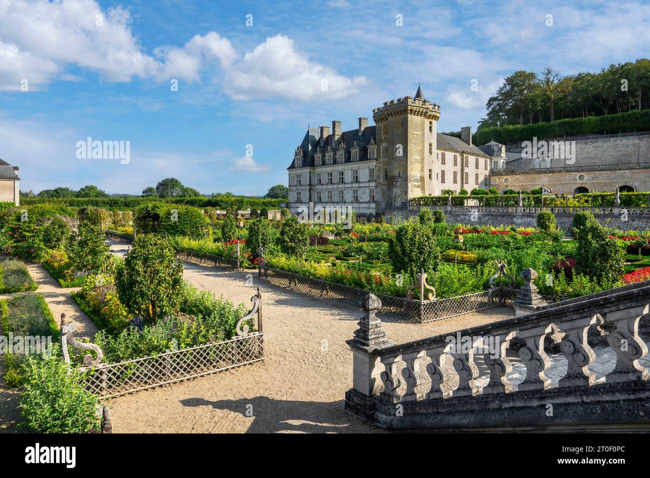 Villandry Castle is located about 17 km west of the city of Tours. Villandry Castle is most famous for its gardens. The eponymous village of Villandry is located on the Cher River and is the last commune before its confluence with the Loire River. Stock Photo
