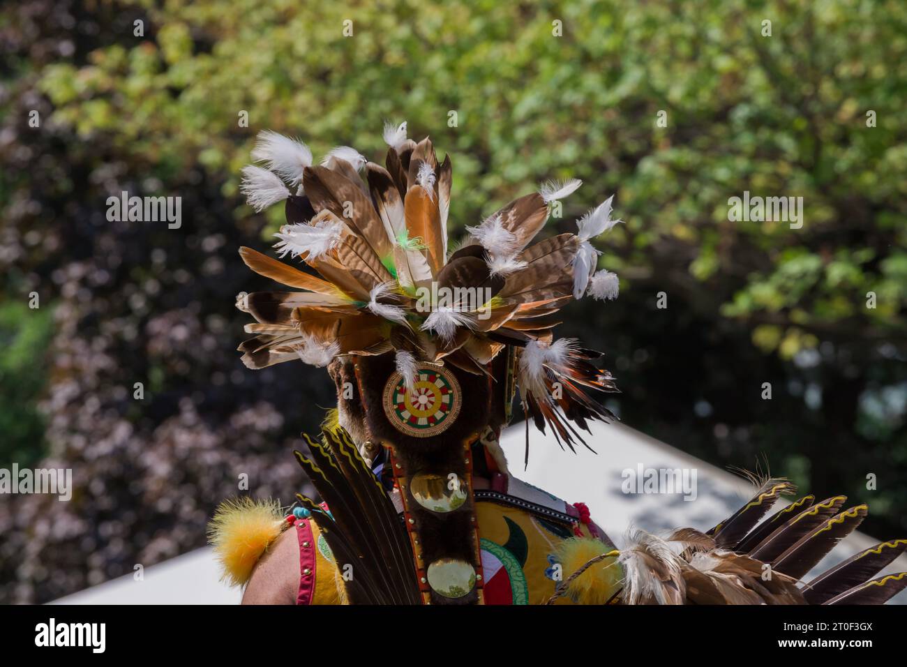 Traditional Pow Wow dance festival. A full day of dancing, drumming and
