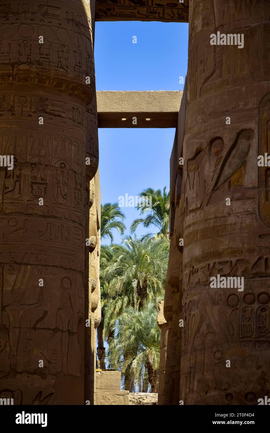 View of palm trees through tall columns of historical complex of Karnak temple with carved