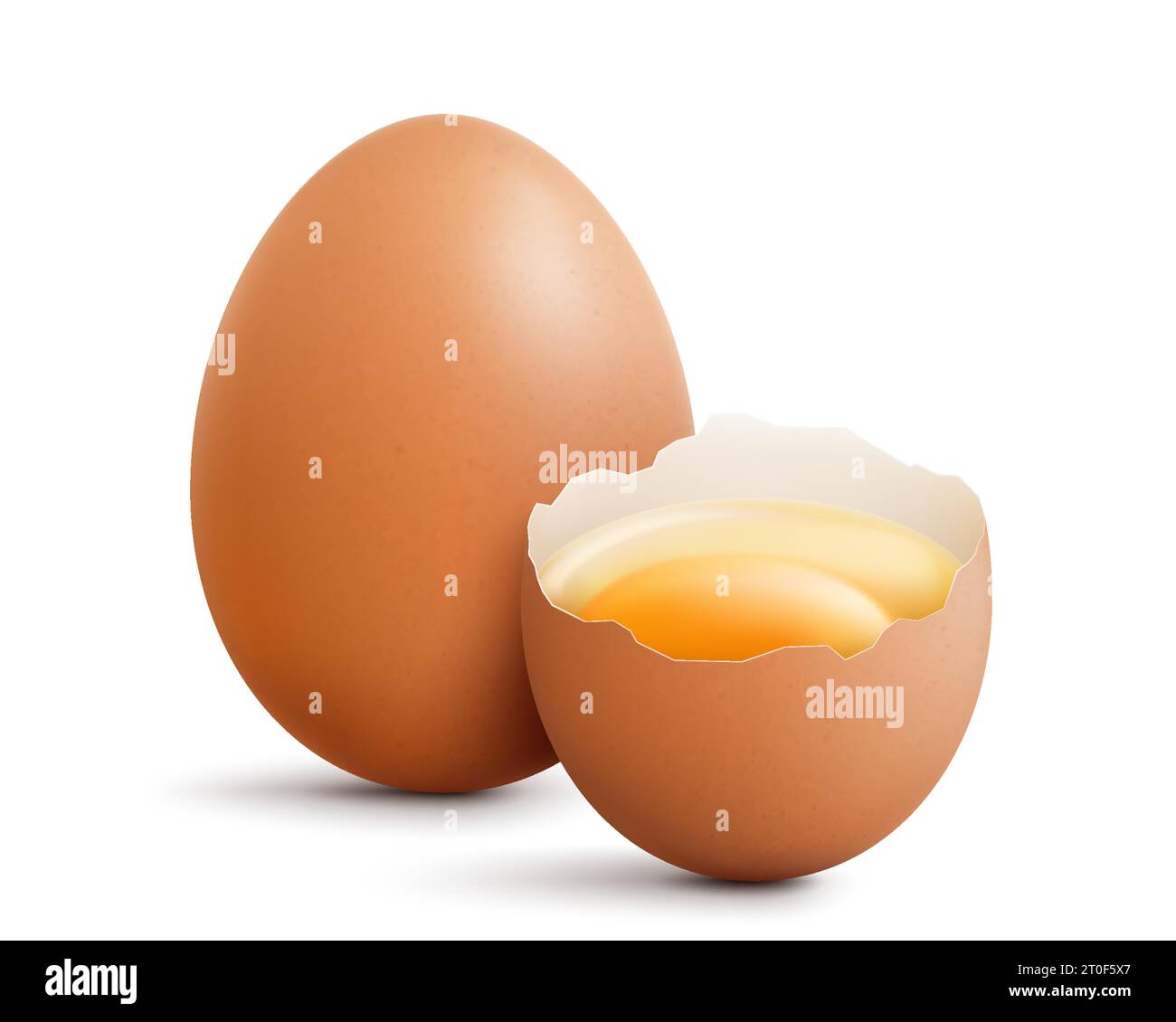 Raw eggs, whole and broken egg half with a yolk isolated on a white background. Brown ?hicken