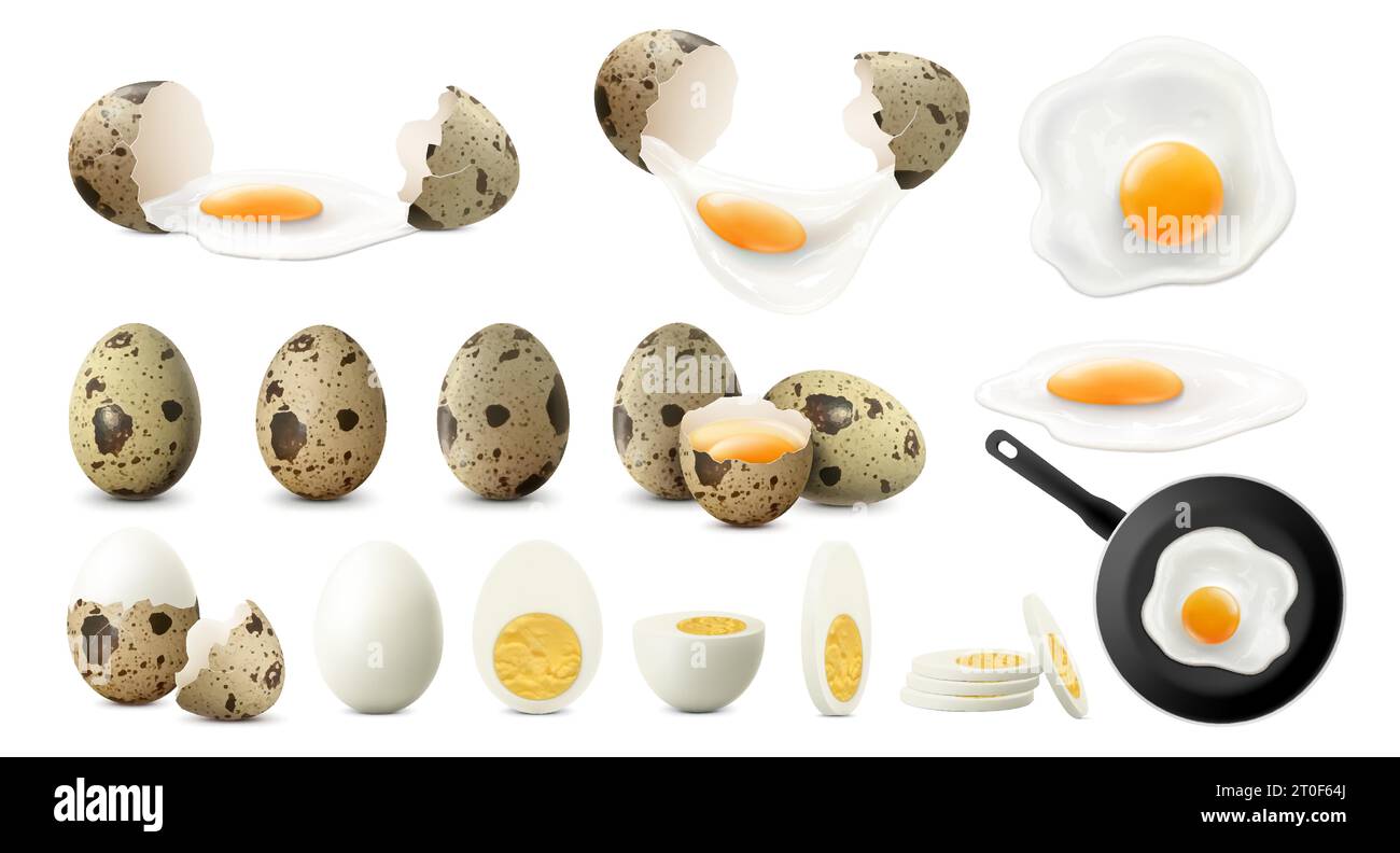 Set of whole, half, sliced and broken spotted quail eggs. Raw, fried