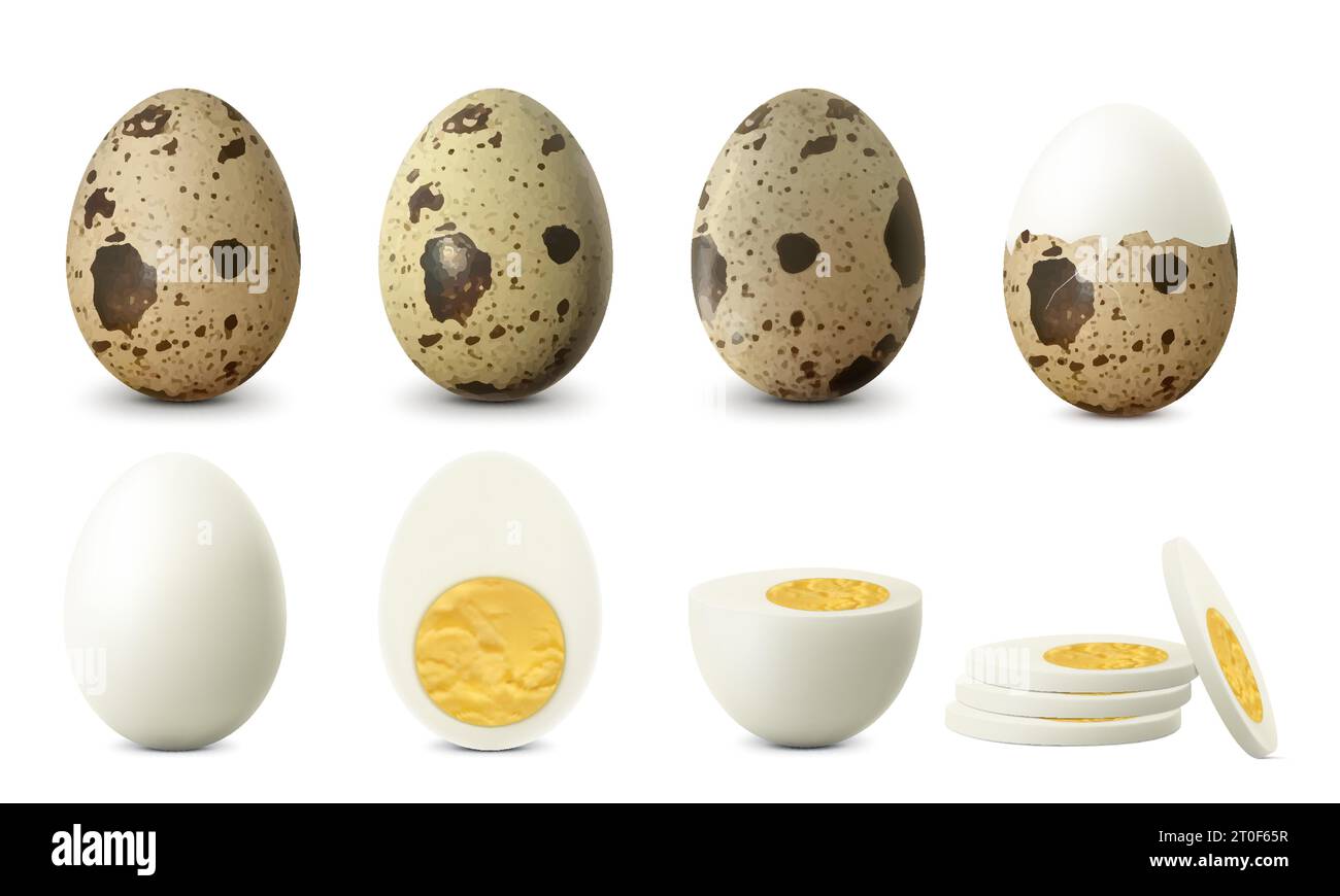 Boiled quail egg eggs isolated on white background. Textured Whole