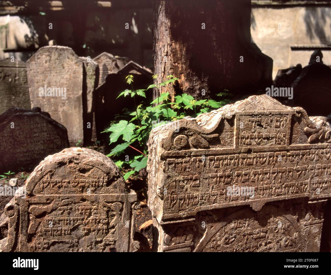 PRAGUE,CZECH REPUBLIC- SEPTEMBER 03,2023: Selective focus at the front tombs. A single tombstone inscribed with Hebrew letters. Hundreds of gravestone Stock Photo