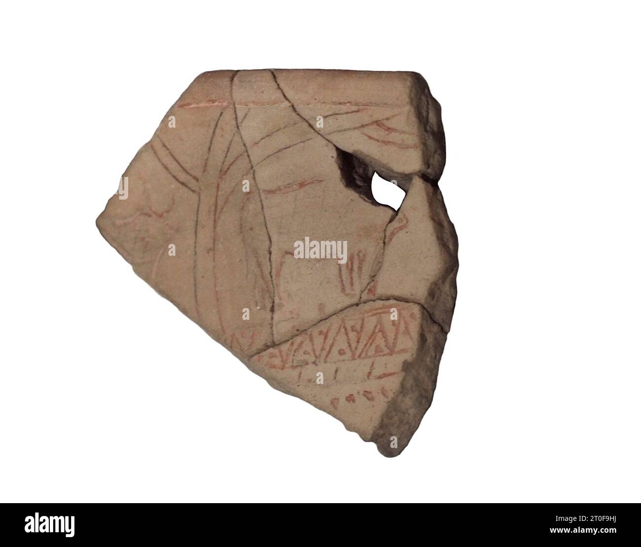 Neolithic Period. Temple Period (3600 to 2500 BC). Malta. Incised sherd depicting two bulls. Between them there is a curvilinear motif which may represent a tree. The incisions are covered with red ochre. From Tarxien. National Museum of Archaeology. Valletta. Malta. Stock Photo