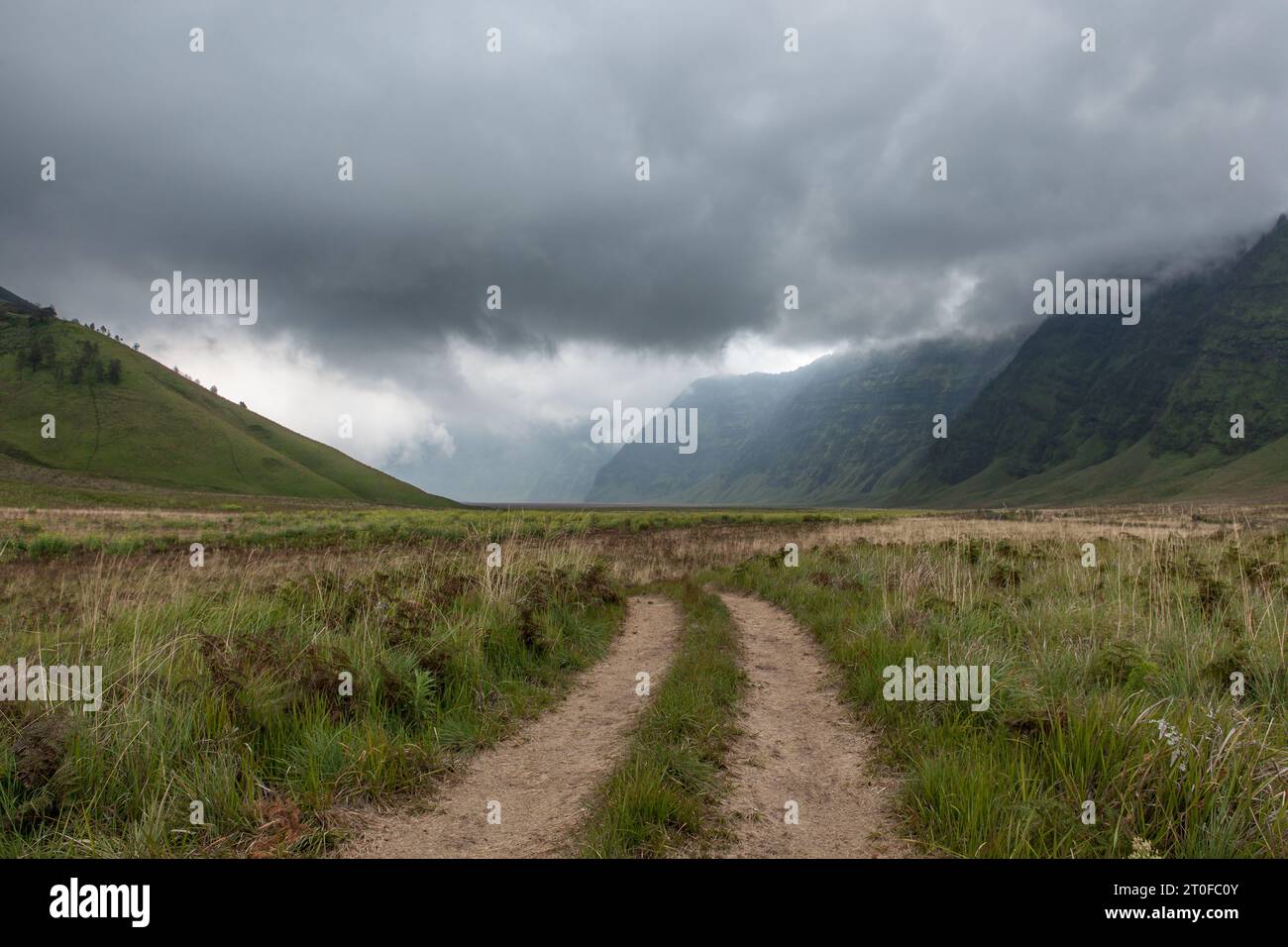 Road through savanna into Bromo Tengger caldera national park at Java island, Indonesia. Stock Photo