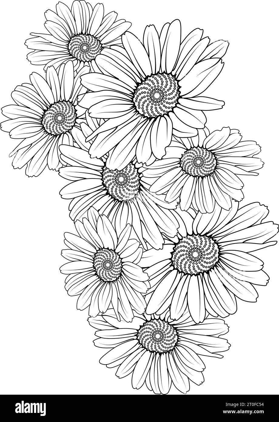 daisy flower vector, daisy illustration, daisy line drawing tattoo ...