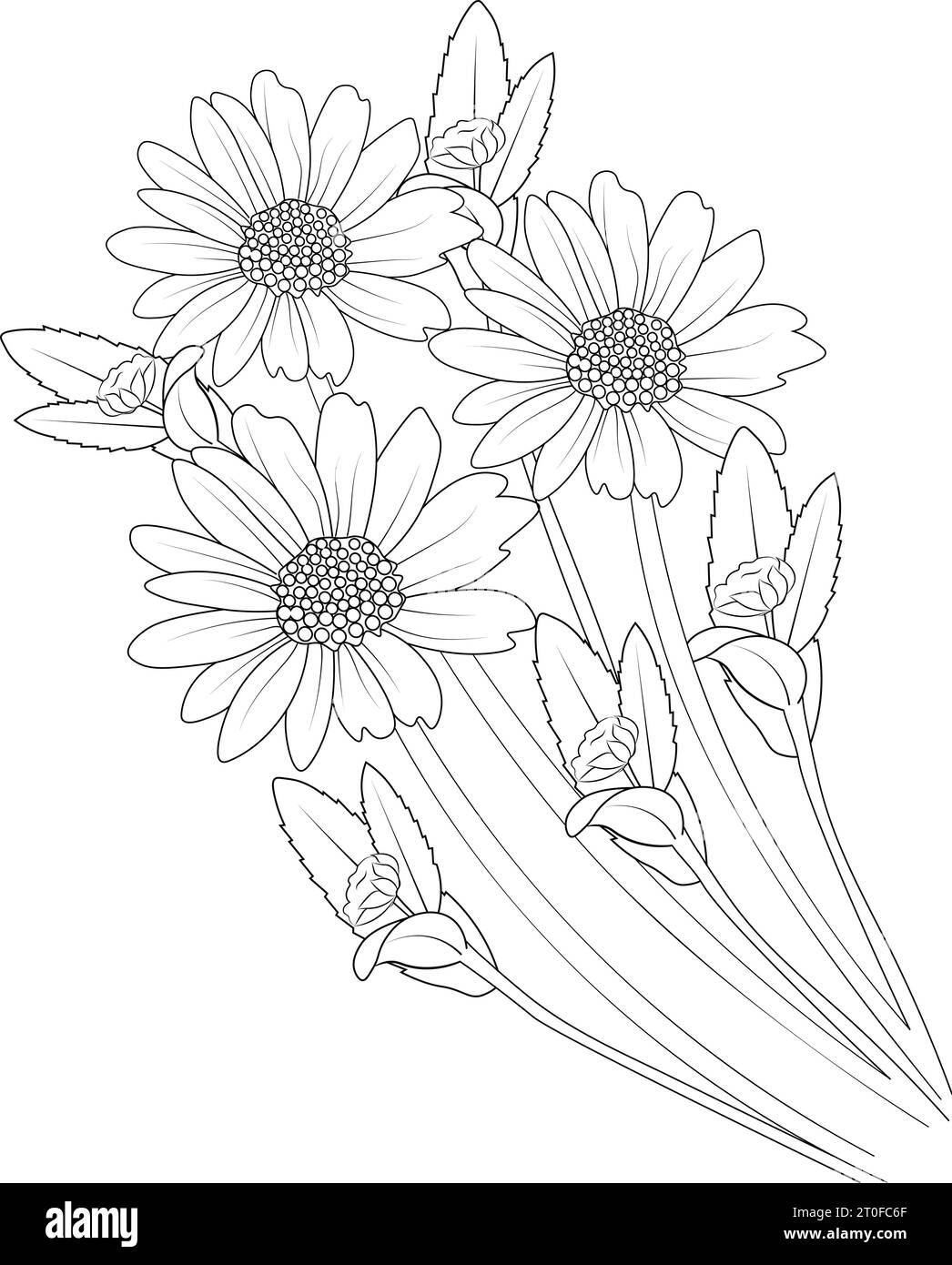 daisy line art, gerbera daisy drawing outline, easy gerbera daisy