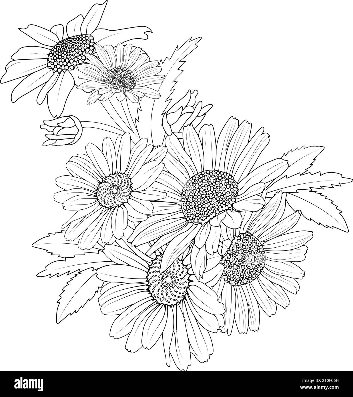 daisy line art, gerbera daisy drawing outline, easy gerbera daisy