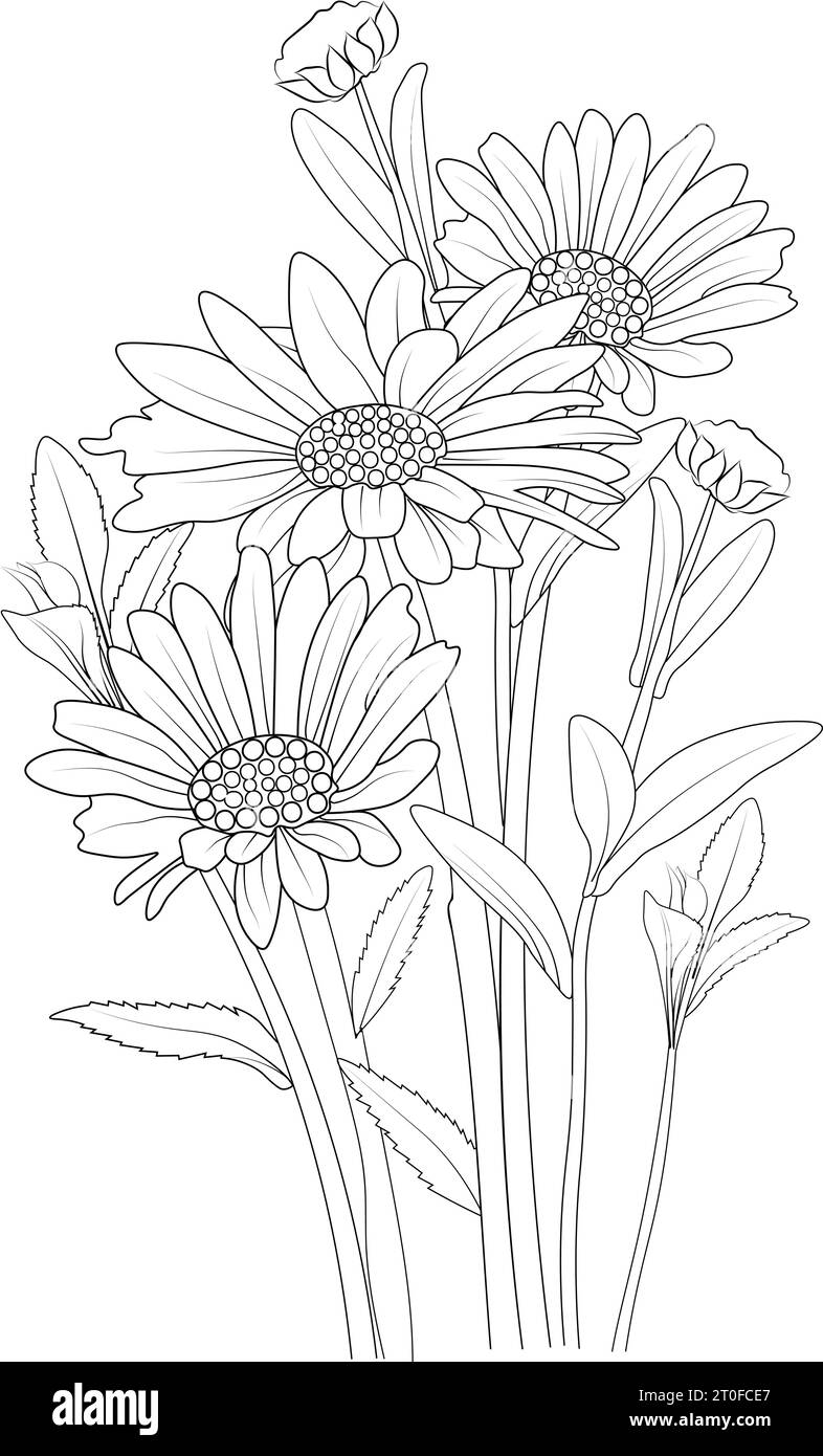 daisy drawing, daisy drawing outline. Drawing daisy flower black and