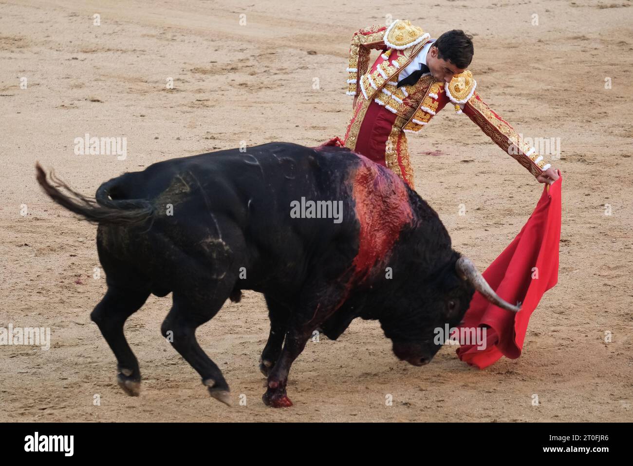 Chile Football League 1 Division - Campeonato Nacional AFP PlanVital 2019 /  ( Club de Deportes Cobresal ) - Rodrigo Andres Urena Reyes Stock Photo -  Alamy