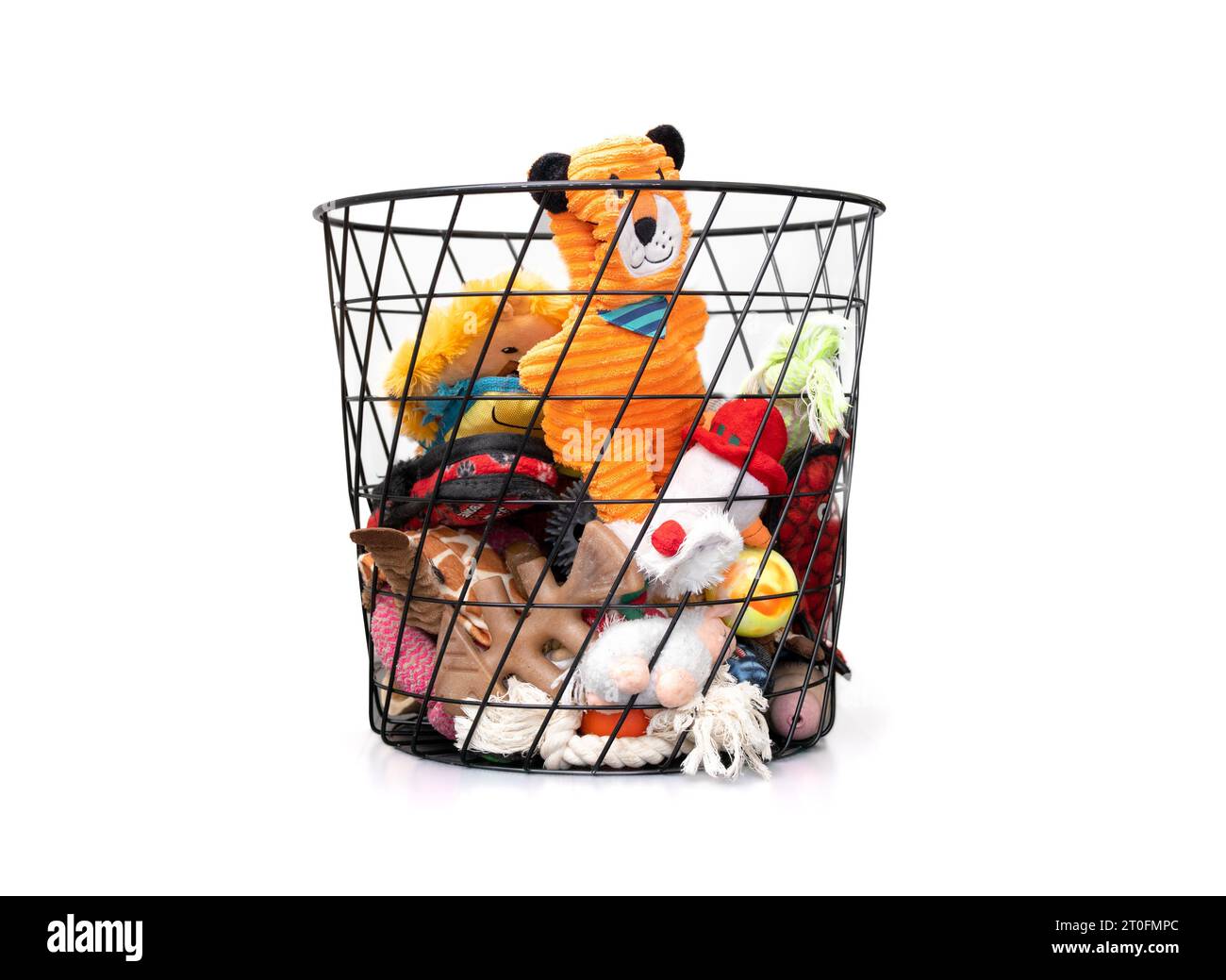 Assortment of dog toys in basket. Variety of many large stuffed plush animals, ropes and  chew bone to pamper a medium to large dog. Behavioral enrich Stock Photo