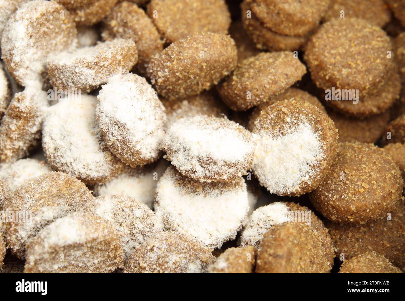 Medication in kibbles or pet food. White powder sprinkled over food for cat or dog. Administer medication, drug treatments, supplements, probiotics or Stock Photo