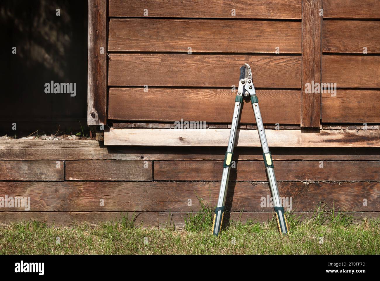 Telescopic lopper with garden shed background. Gardening tool used to prune, cut or trim branches and twigs from tress and bushes. Extendable garden p Stock Photo