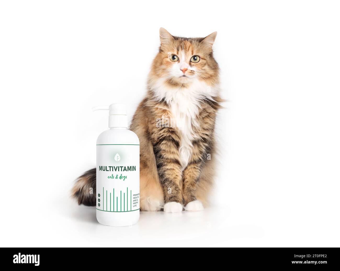 Cute cat with multivitamin supplement bottle. Fluffy calico kitty sitting behind pump bottle with fake pet supplement label for cats and dogs to promo Stock Photo