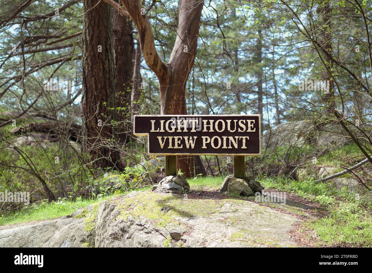 Lighthouse view point signage in park in front of tall tree foliage. Large wooden sign for park visitors in front of coastal forest with douglas fir t Stock Photo