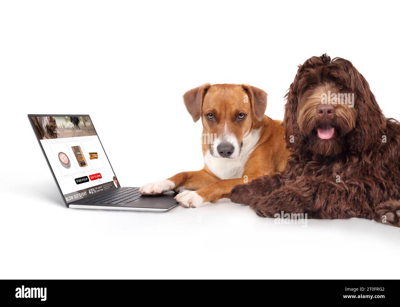 Dog ordering products online while using laptop computer with paw. Two dogs with mockup shopping card screen. Funny pet themed concept for ecommerce, Stock Photo