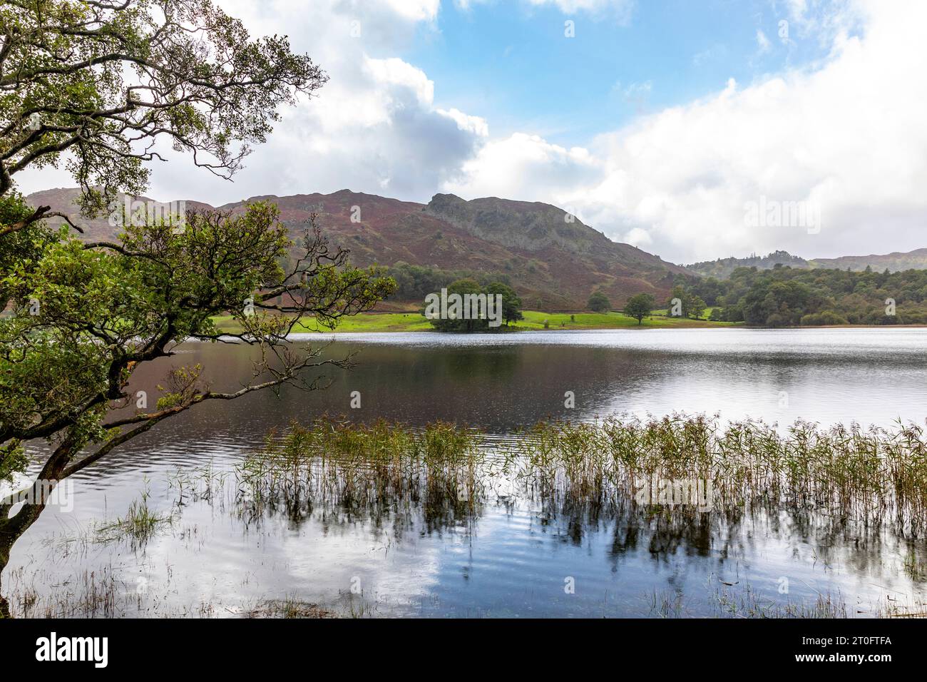 Rydal Water with views to Loughrigg in the Lake District National Park, Cumbria,England,UK Stock Photo