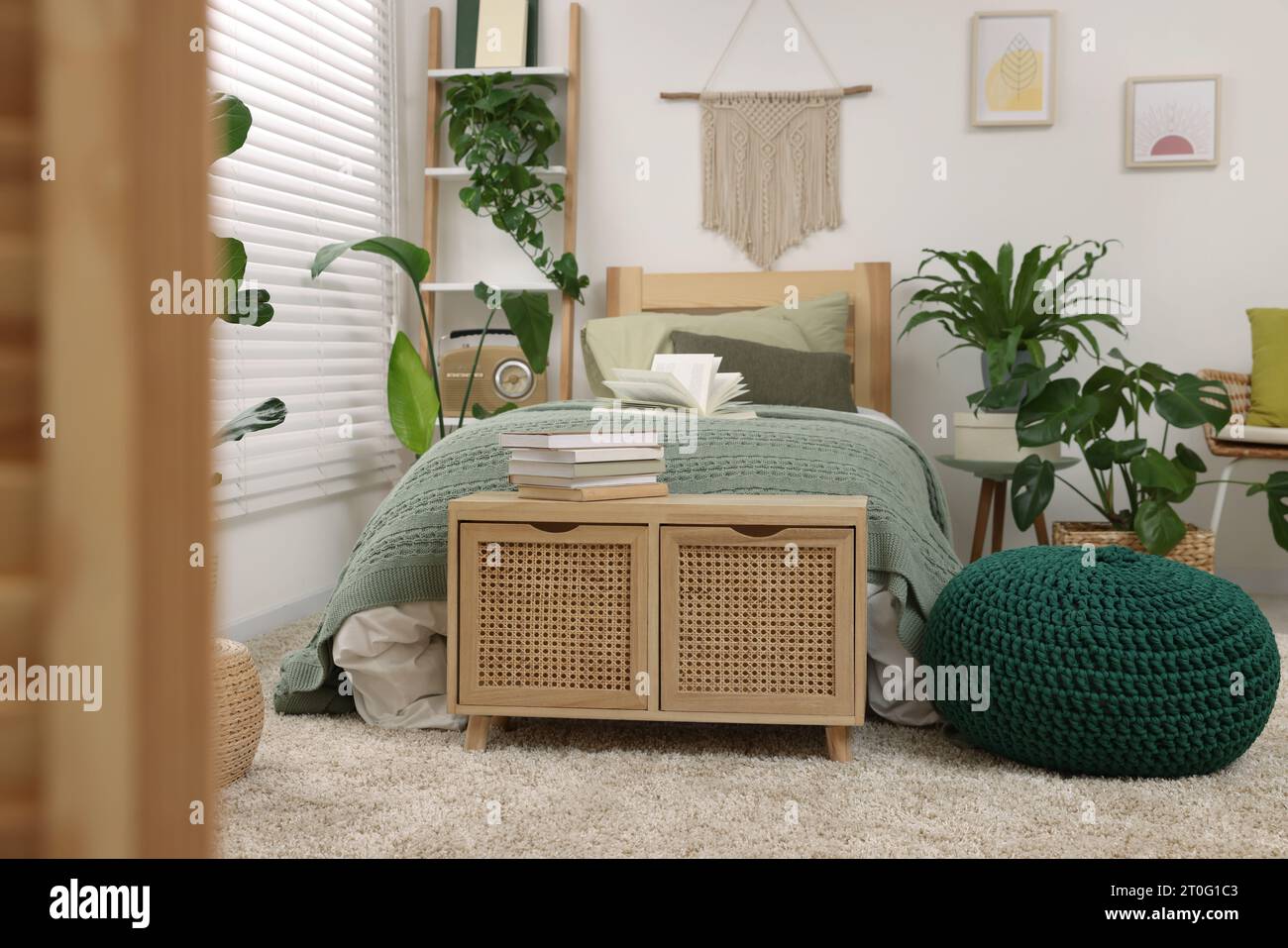 Large comfortable bed and potted houseplants in stylish bedroom ...