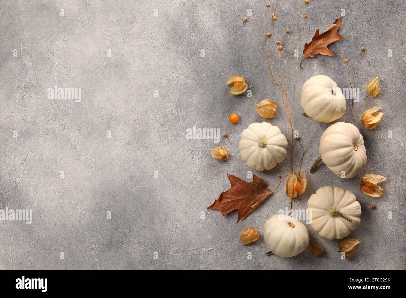 Flat lay composition with different fresh ripe pumpkins on light grey ...