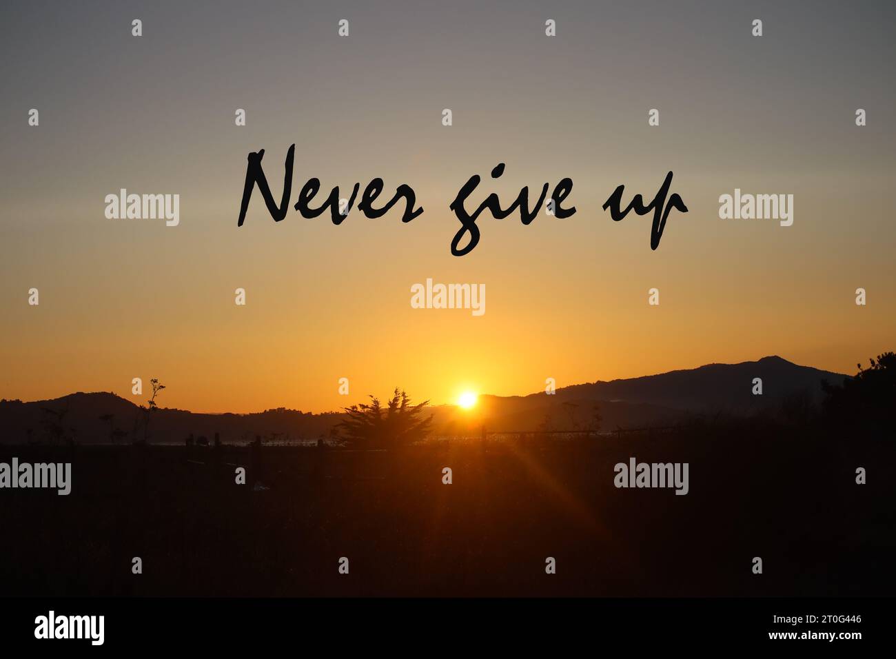 Quotes About Never Giving Up