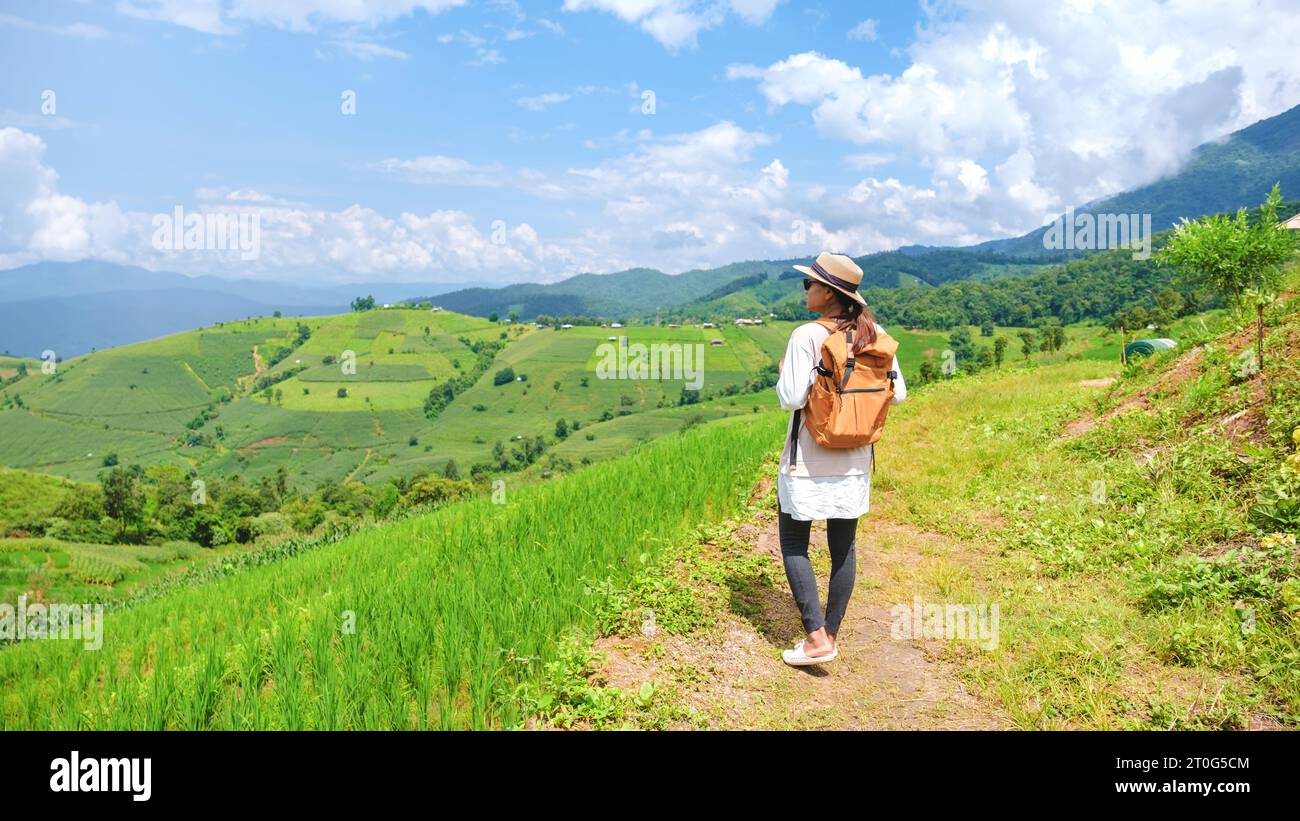 Terraced Rice Field in Chiangmai, Thailand, Pa Pong Piang rice terraces ...