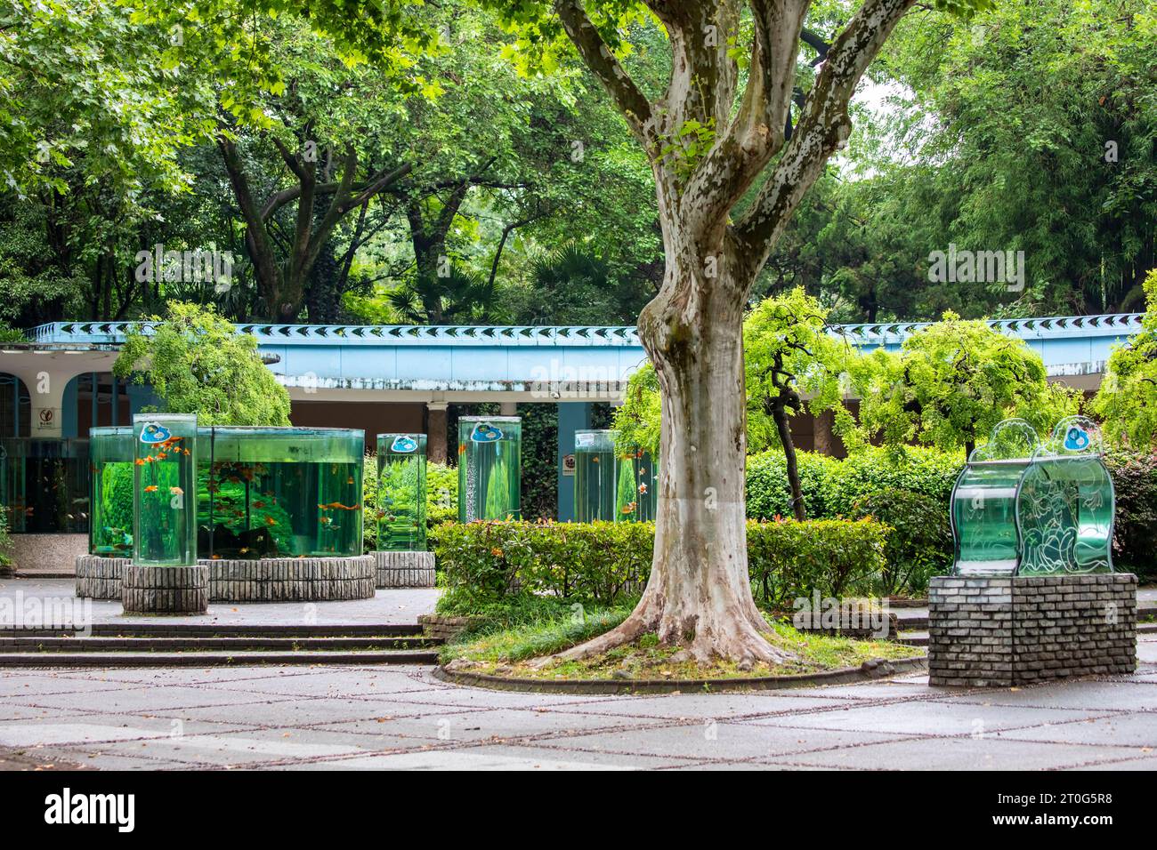 Shanghai China Jun 6th 2023:  the exhibition building of goldfish (Carassius auratus), called 'Goldfish Gallery'. Stock Photo