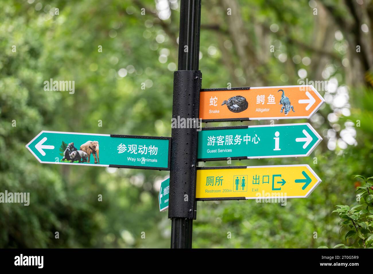 Shanghai China 6th jun 2023: The Guide board in Shanghai Zoological Park. It is the main zoological garden in Shanghai. Stock Photo