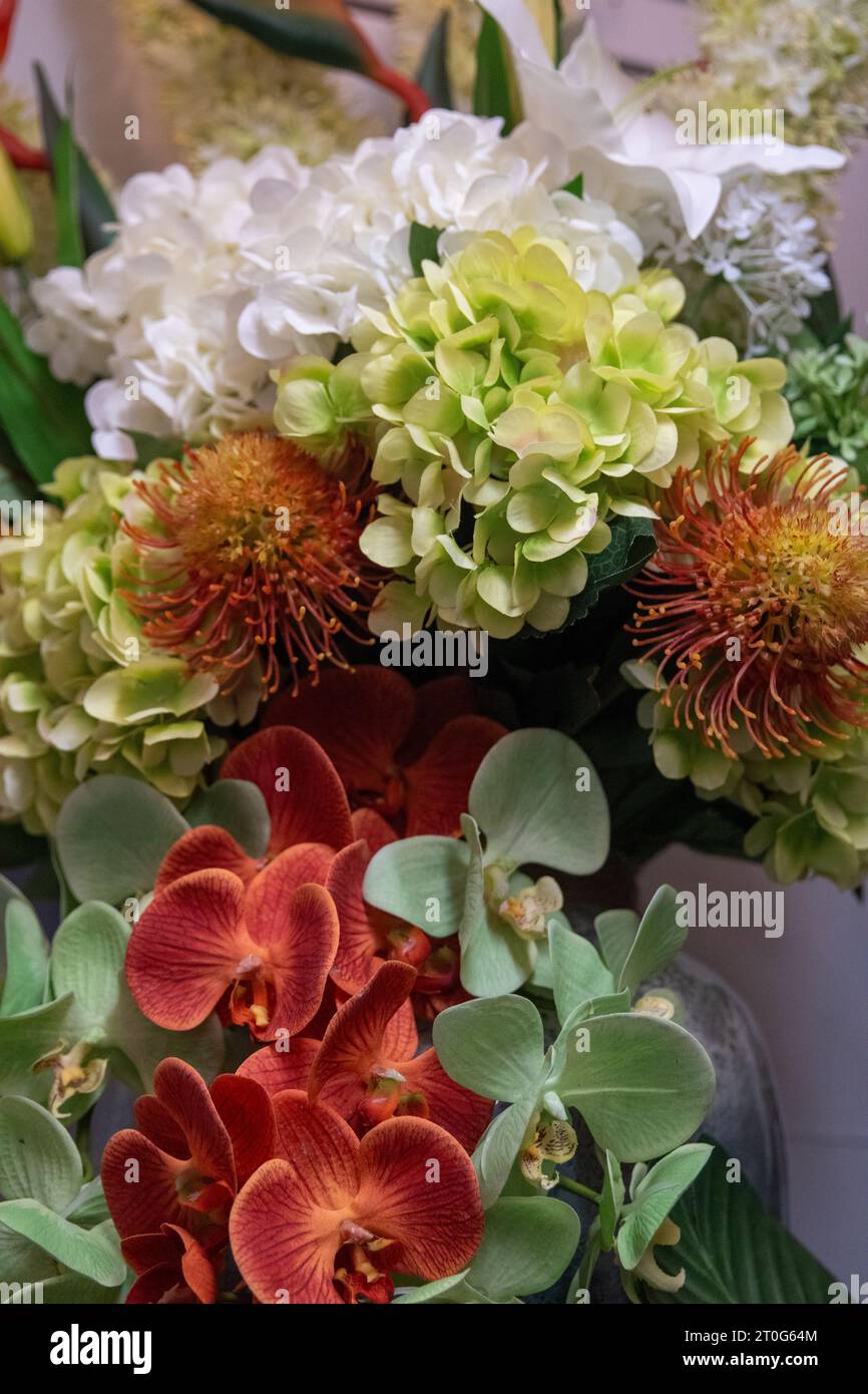 Variety of indoor flowers at a florist for a bouquet Stock Photo