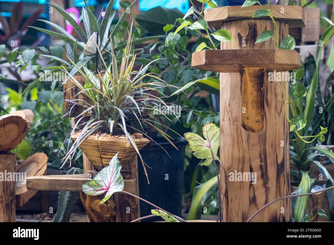 Live plant display hi-res stock photography and images - Alamy