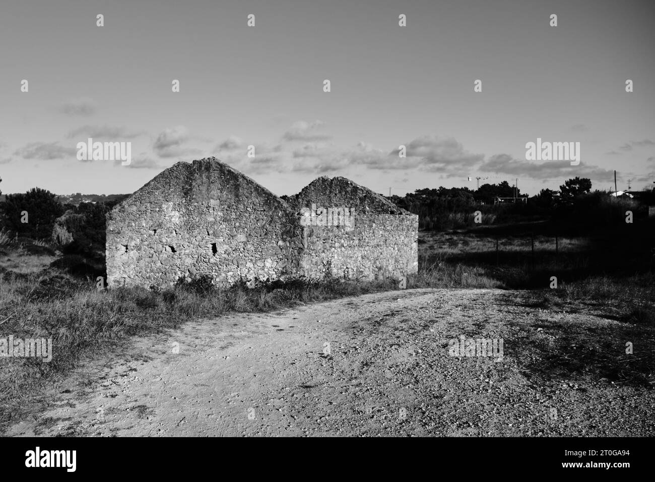 Building coastal environment Black and White Stock Photos & Images - Alamy