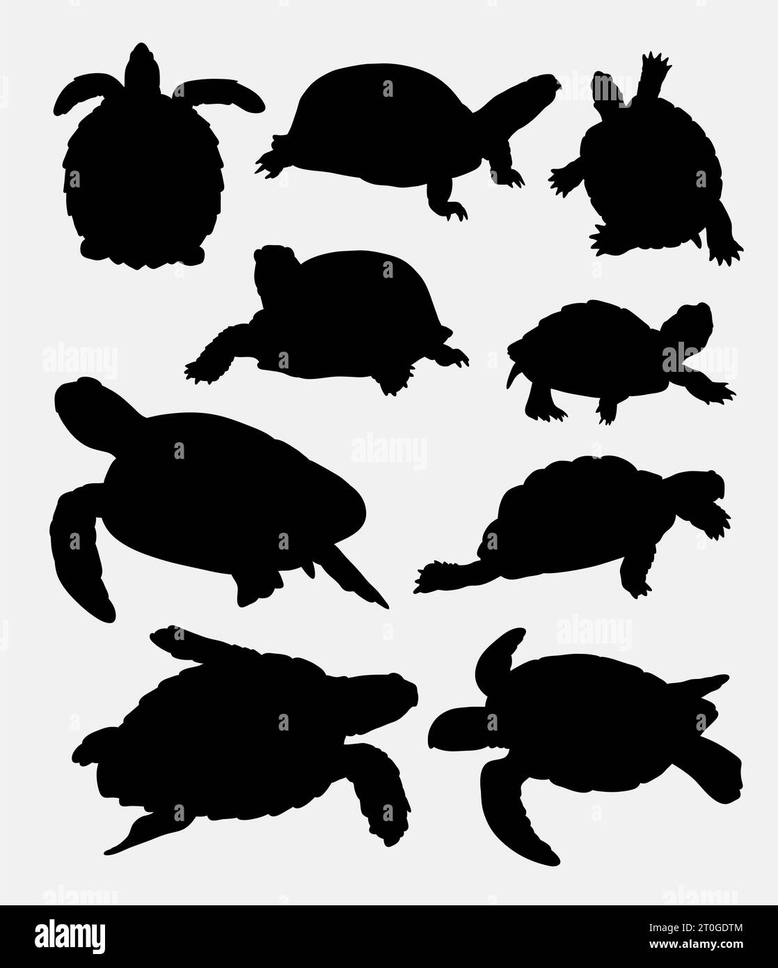 turtle amphibian animal silhouette Stock Vector