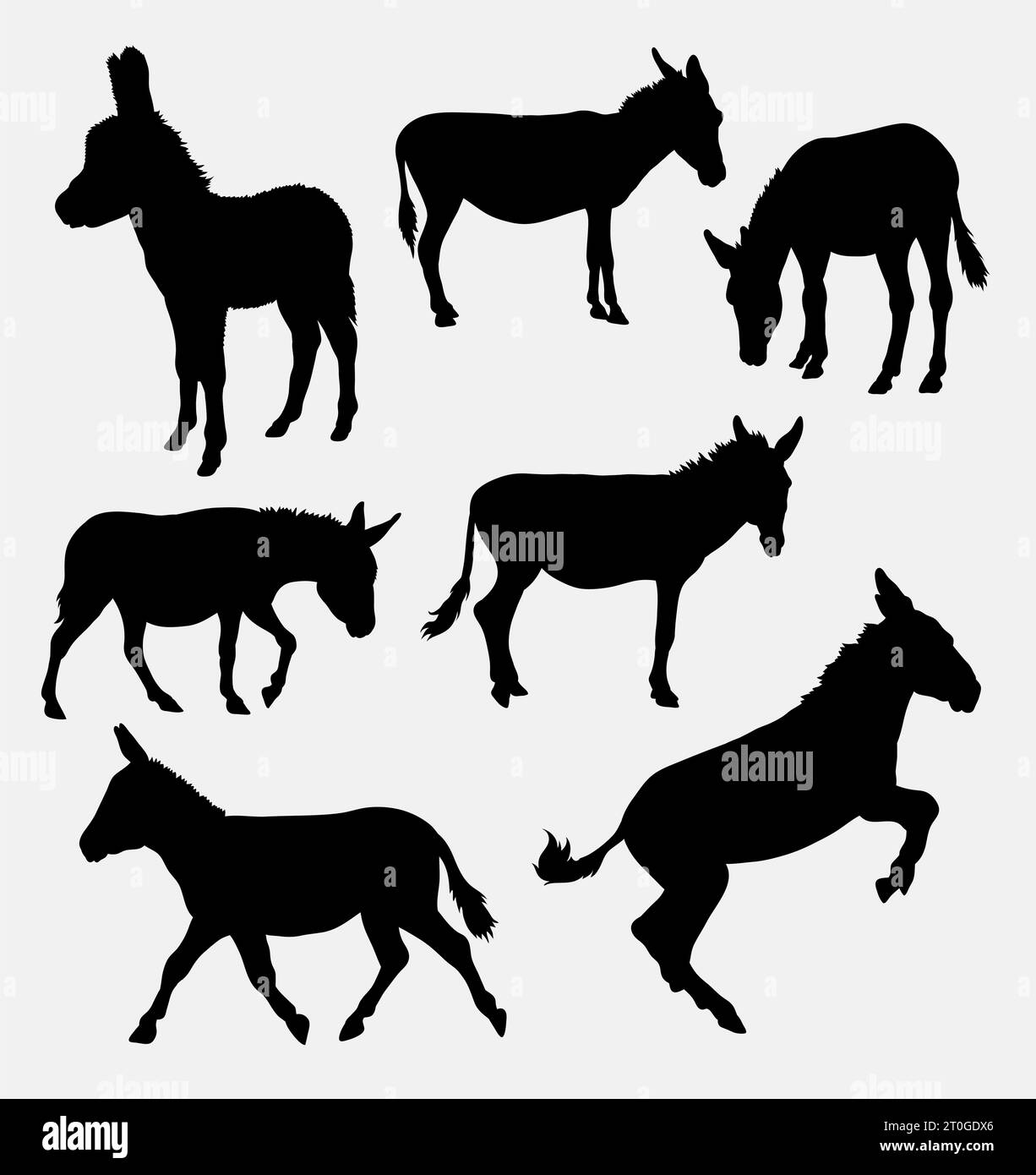Donkey shape vector Stock Vector Images - Alamy