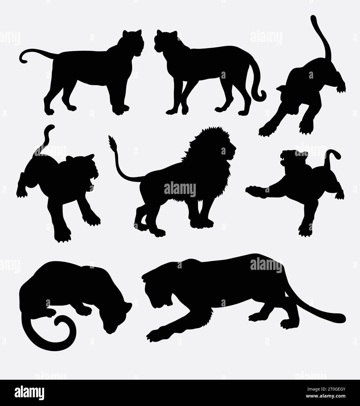 lion and tiger wild animal silhouette Stock Vector