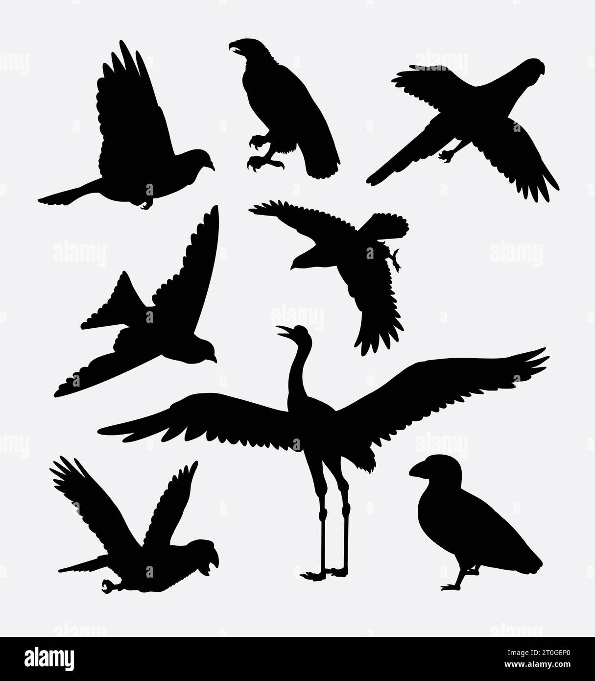 Crane eagle parakeet bird silhouette stock vector image art alamy