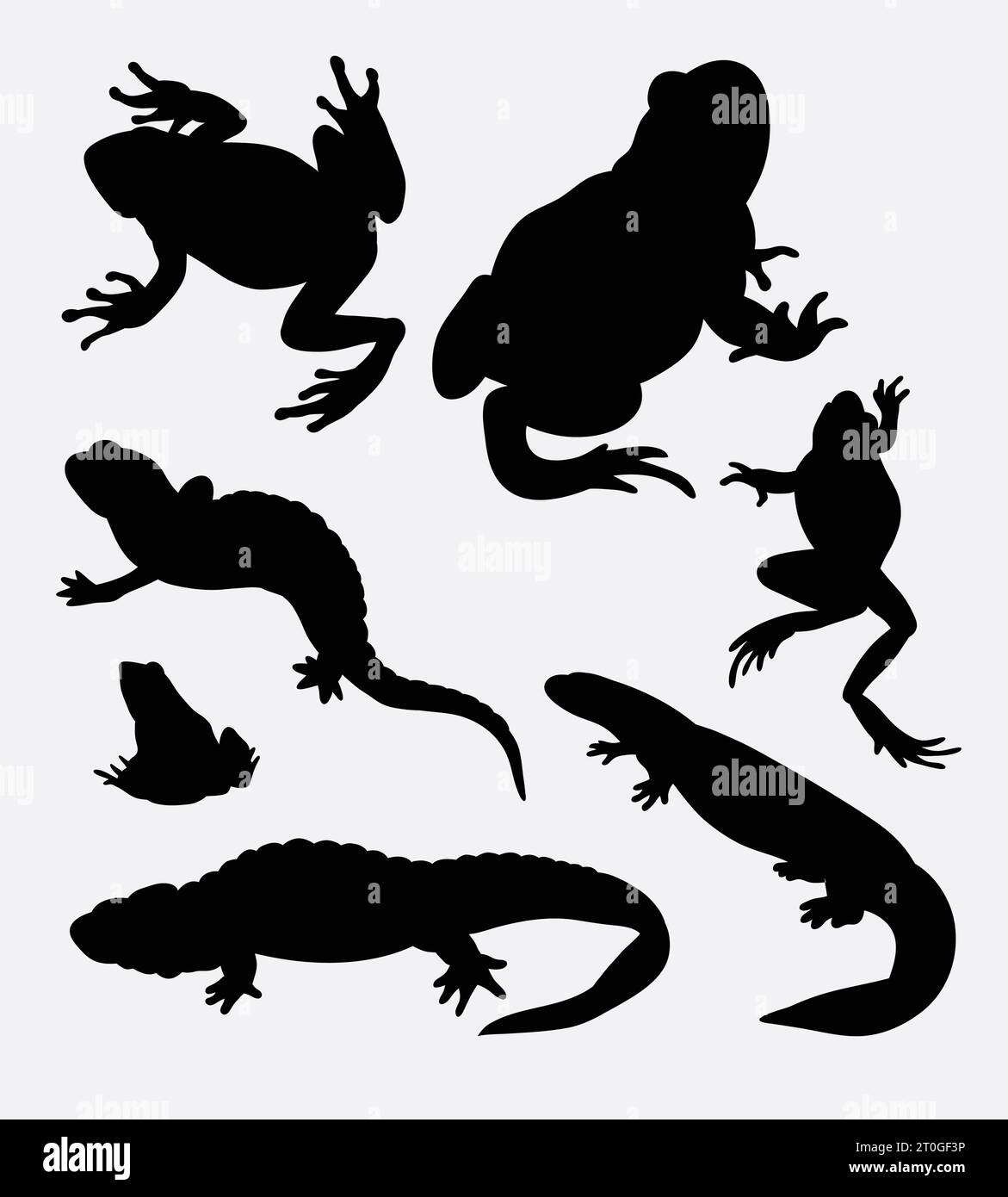 frog lizard amphibian reptilian animal silhouette Stock Vector