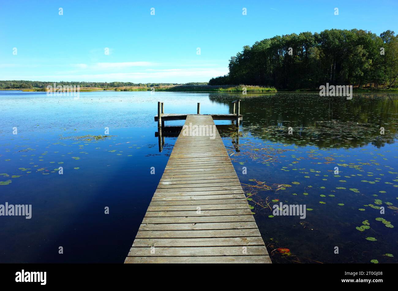 Wooden bridge in lake with calm water and blue sky in Sweden, Scandinavia, Europe. Peaceful outdoor image on Malaren lake in Vastmanland Stock Photo