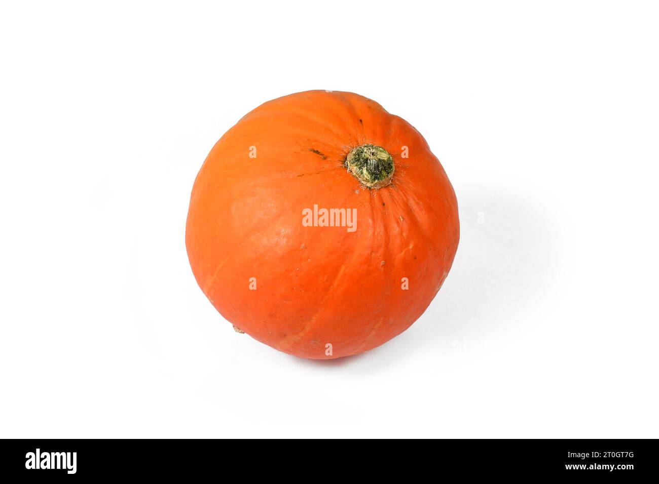 Small orange Sugar Pie pumpkin on white background Stock Photo