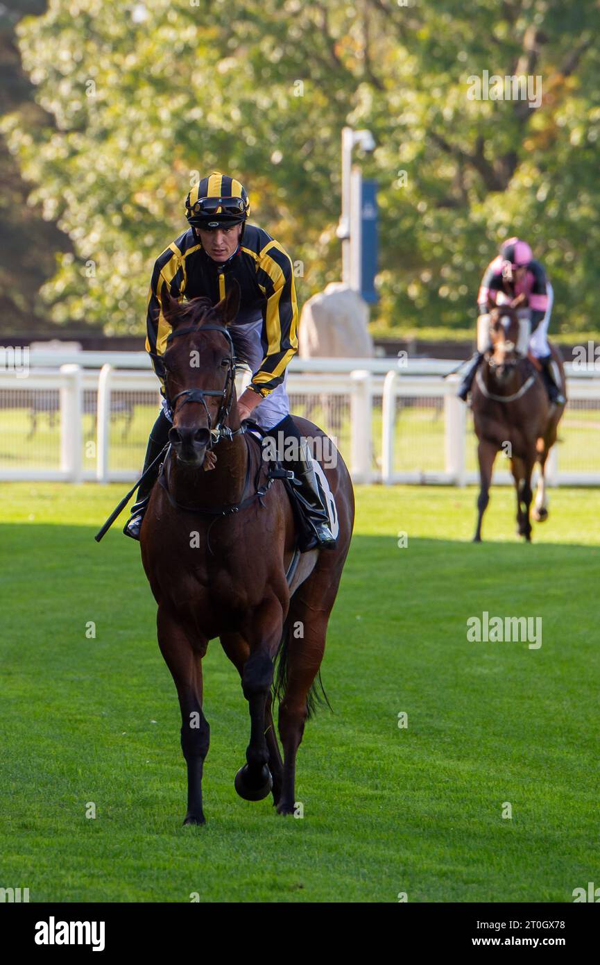 Mr fletcher yarham hires stock photography and images Alamy