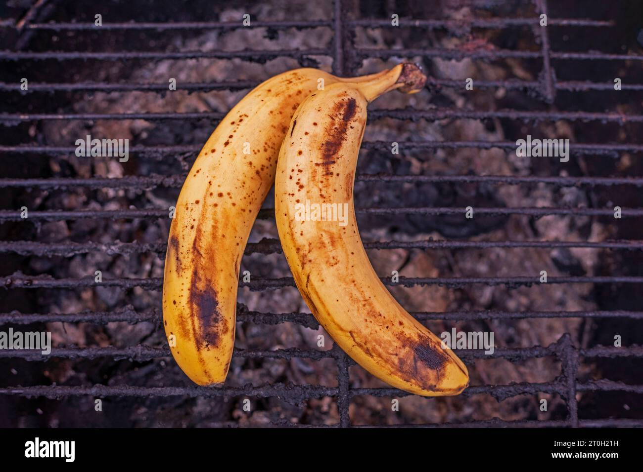 Organic bananas on red background top view. Bunch of bananas is lying on  orange background with dark spots marking ripening process Stock Photo -  Alamy