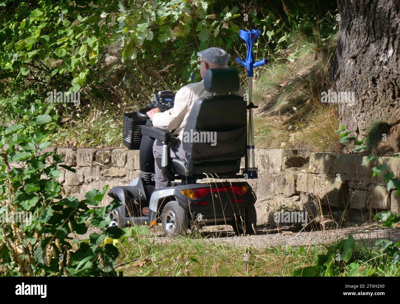 Rentner-Einblick ins Alltagsleben von Senioren in Ihrer heimischen Umgebung Rentner *** Retirees insight into everyday life of seniors in your home environment Retirees Credit: Imago/Alamy Live News Stock Photo