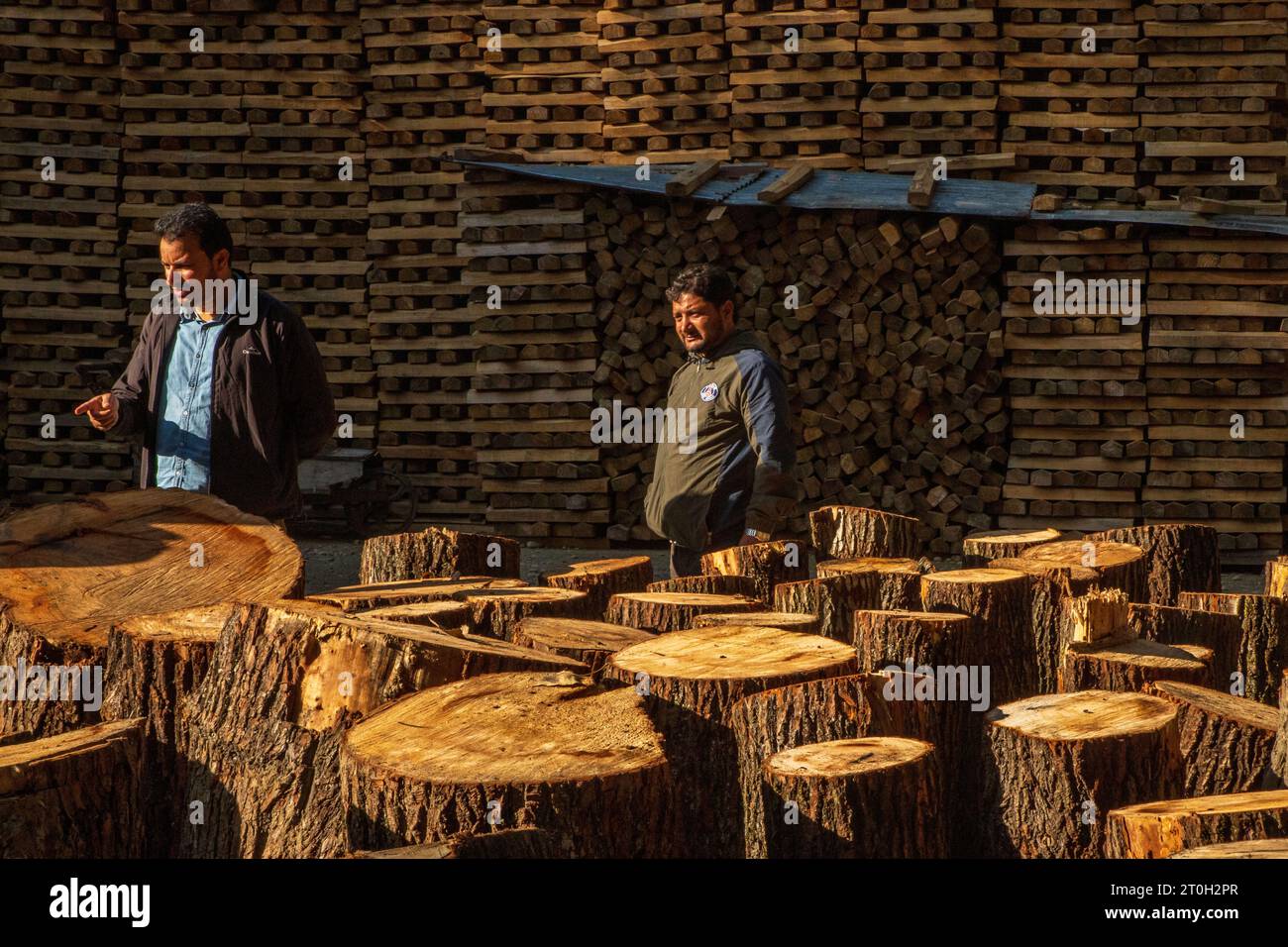 Cricket bat factory owners walk amid willow logs before manufacturing