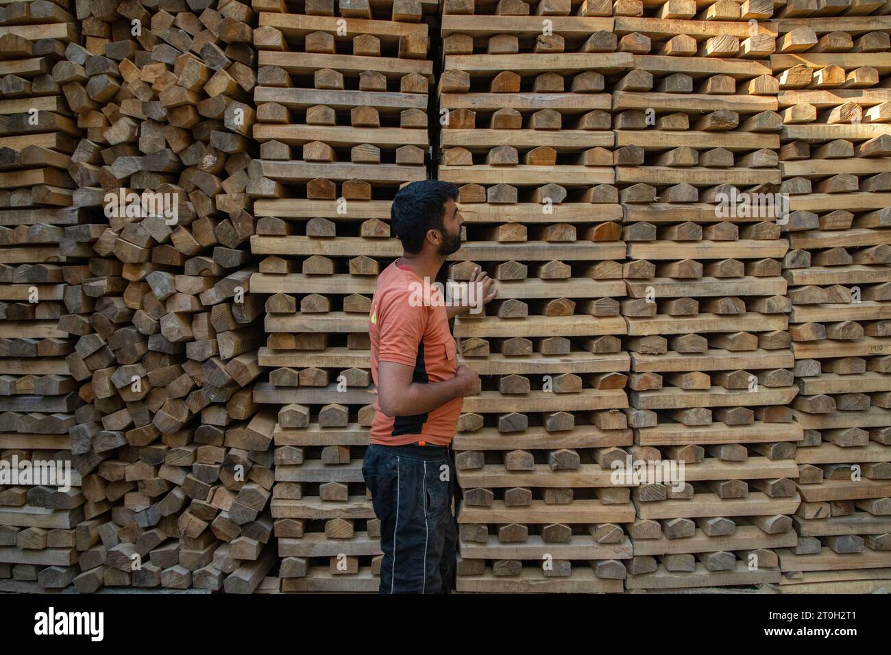 A worker checks a stack of Kashmiri willow wood used to make a cricket
