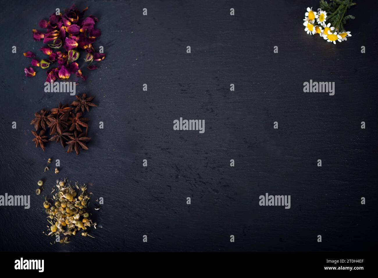 slate with space text with flower and plant Stock Photo