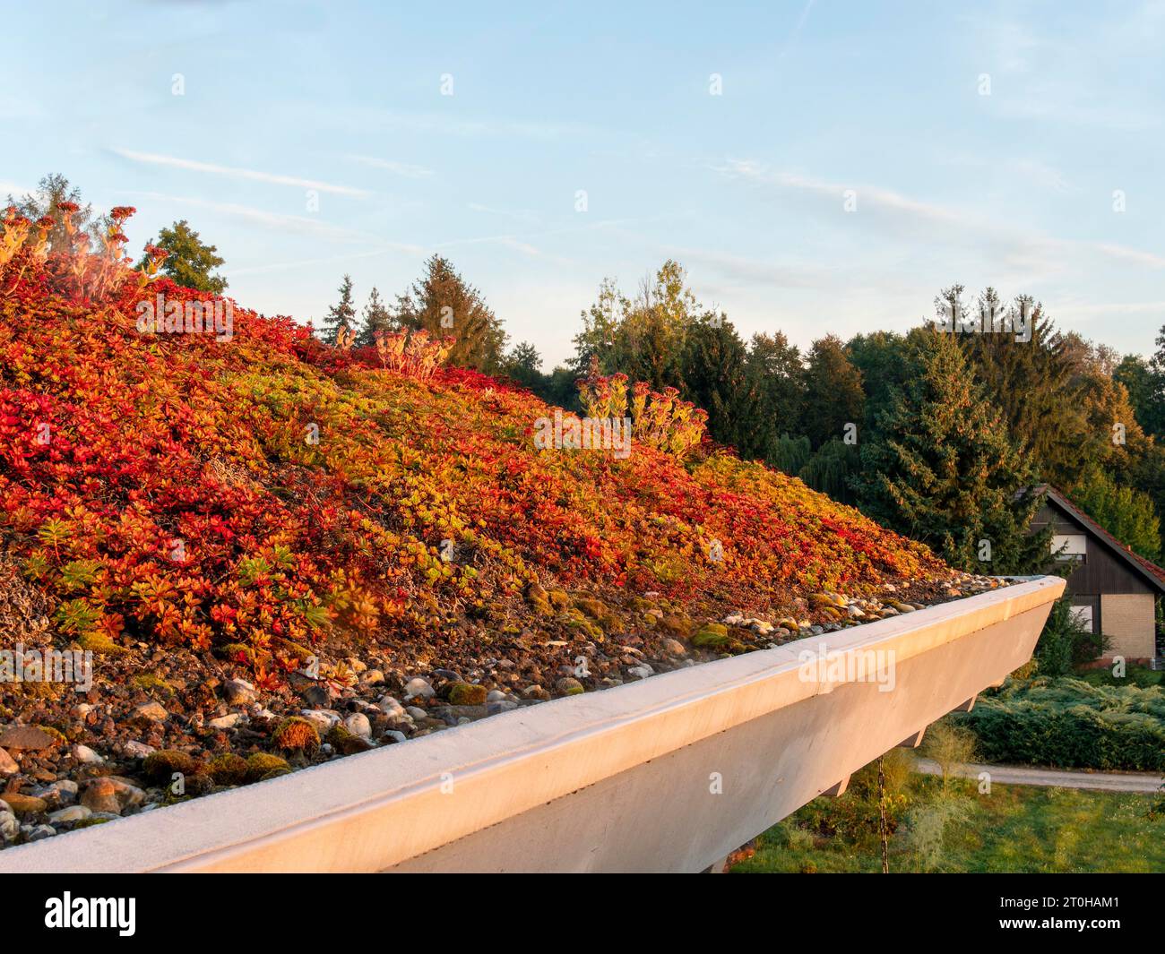 Indian summer on the green roof, Schlepzig, Brandenburg, Germany Stock Photo