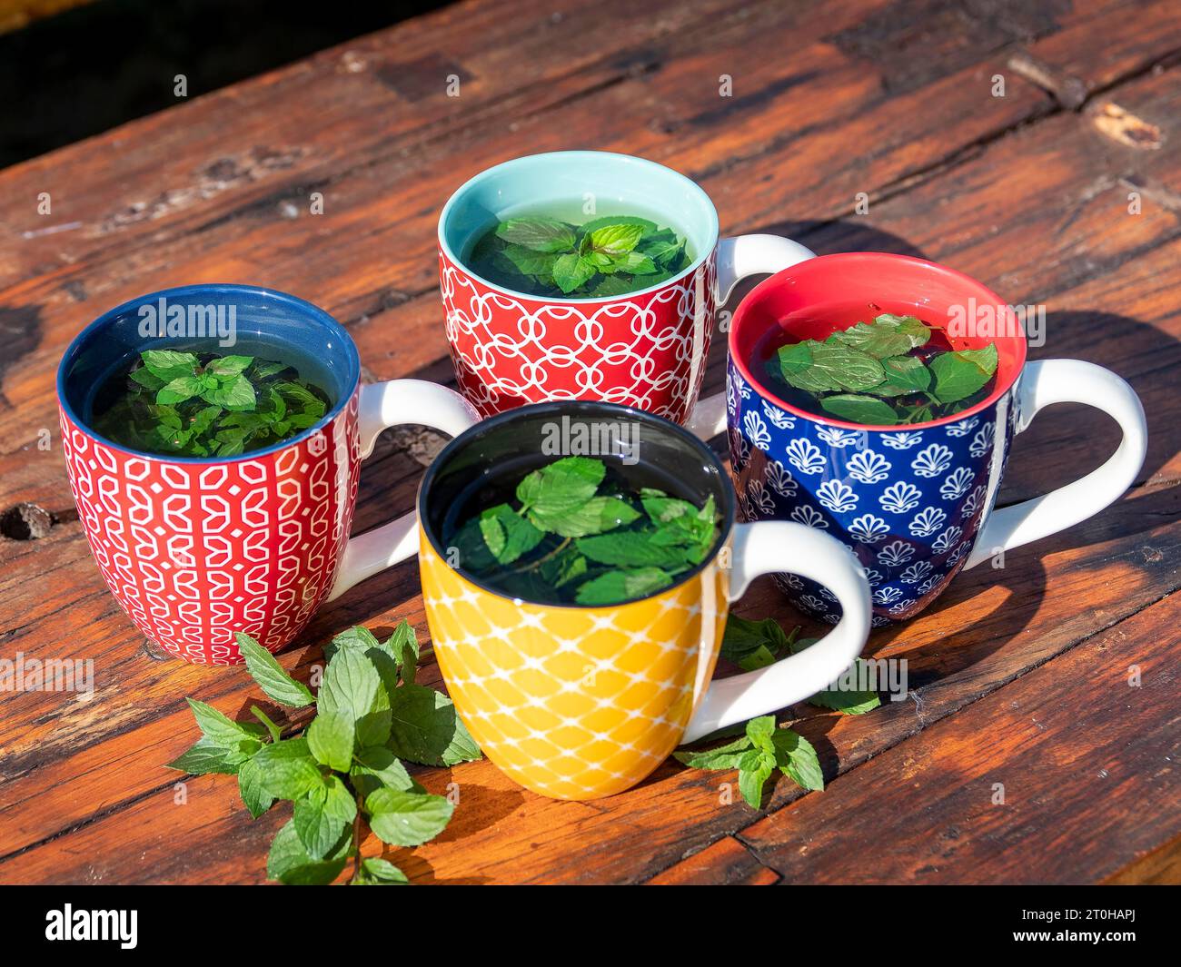 Fresh mint tea in colourful cups, peppermint, Germany Stock Photo