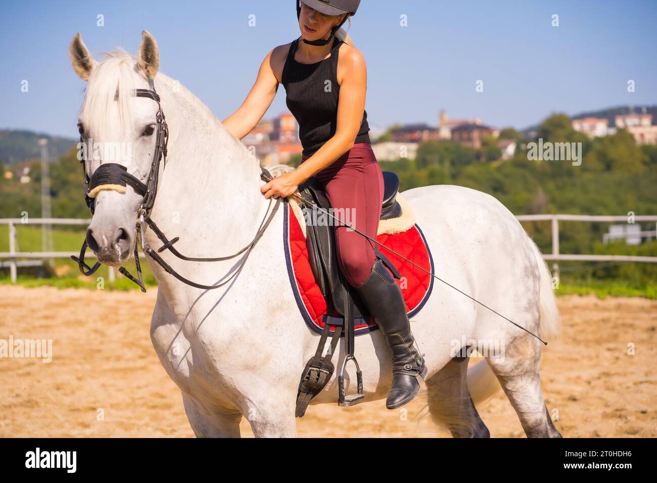 Caucasian blonde girl riding a white horse, dressed in black rider with